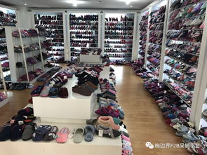 專供商超百貨業態杭州童裝與拖鞋標桿生產企業訪廠教學活動圓滿成功，苗木花卉產業協同發展